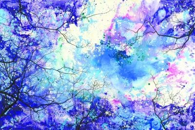 不看繁花看
