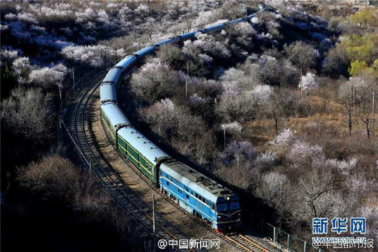 新闻龙门阵丨绝症女孩在 男友 怀中 去世 :来生做