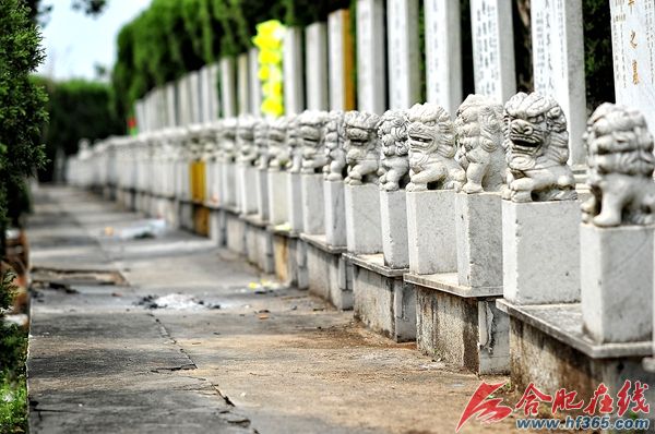 合肥墓地市场冰火两重天(图)|墓穴|风水