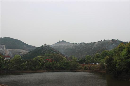 凤凰山陵园整体划一，错落有致