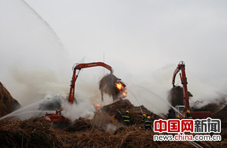 岳阳消防扑救芦苇堆垛火灾