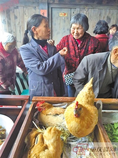 市民选购土鸡。本报记者 徐菊 摄
