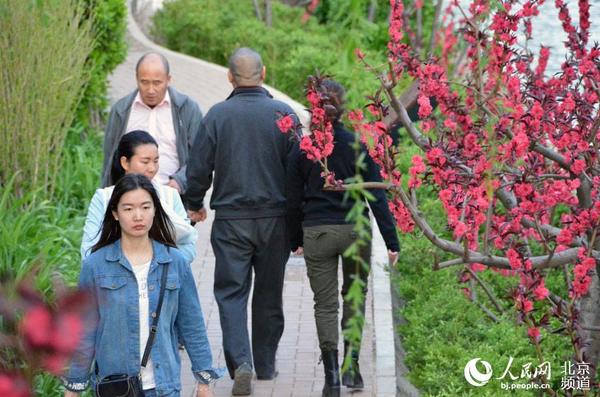 路过绿廊的市民。人民网尹星云 摄