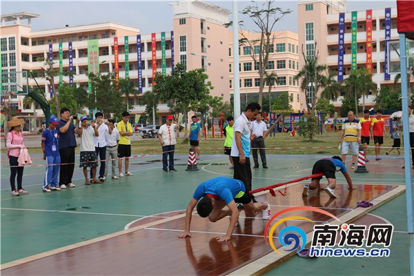 大象拔河简谱_大象拔河