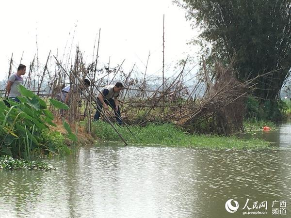 港北村人口_松湖镇港北村图片