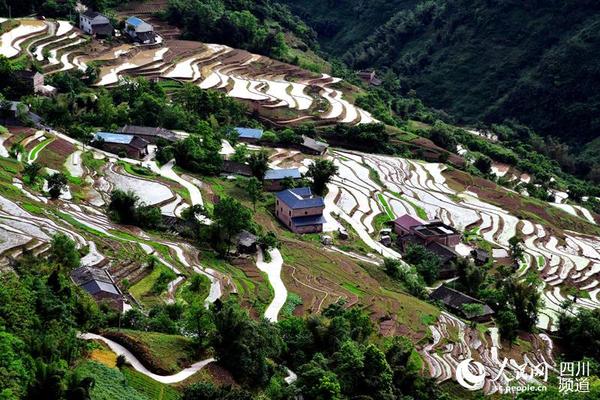 万亩梯田壮美如画。（苏忠国 摄）