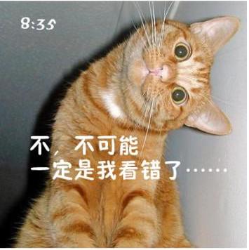 猫咪搞笑屌丝表情 演绎上班族的一天