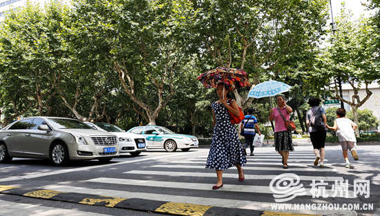 杭州斑马线前车让人引网友热赞