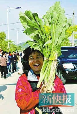 增城迟菜心