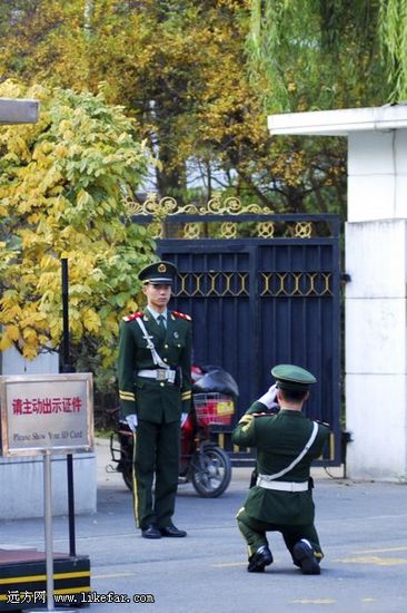 北京东直门使馆区银杏赏秋攻略