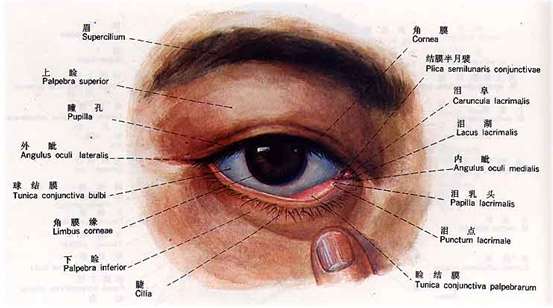 mct技术领先复查制度 甘当眼睛健康卫士