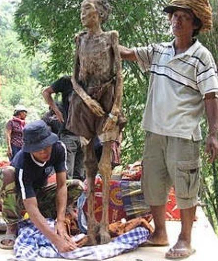 赶尸人人口_赶尸人(2)