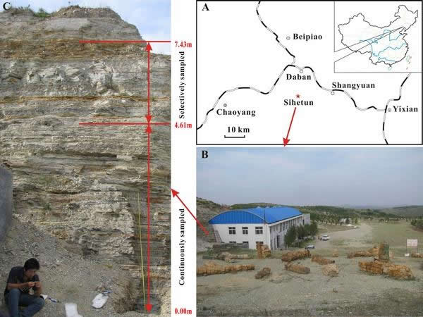 热河生物群湖相地层沉积学研究新进展