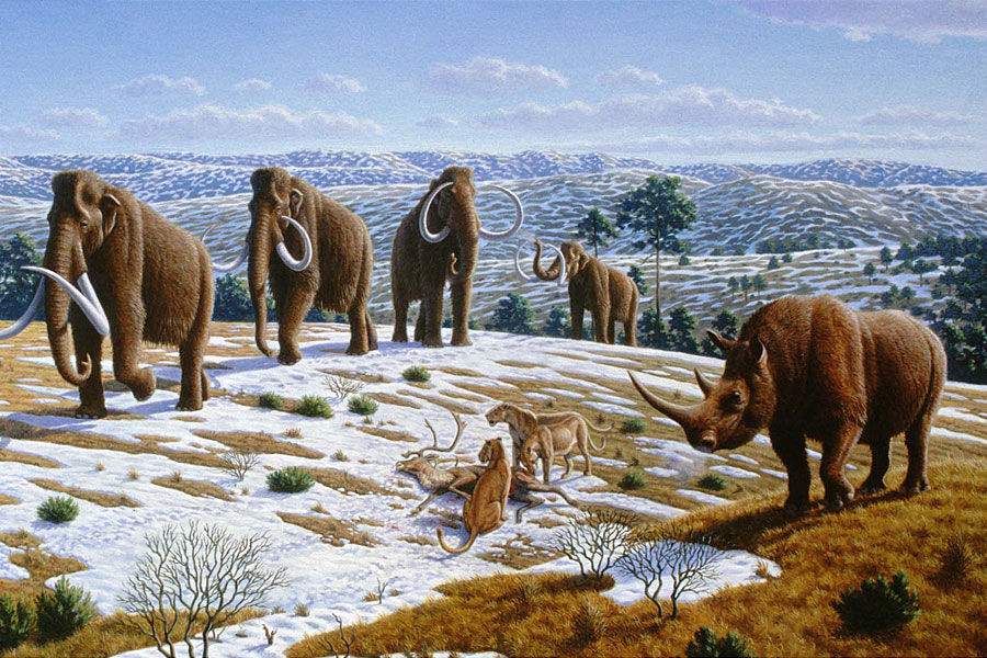 第四纪（260万年前至今）气候变冷、有冰期间冰期明显交替。欧洲发生过五大冰期：多脑冰期、群智冰期、民德冰期、里斯冰期和玉木冰期。绝大多数动、植物属种与现代相似，在更新世末期，北半球不少哺乳动物（如剑齿虎、猛犸象）灭绝。马、骆驼等在北美洲灭绝。