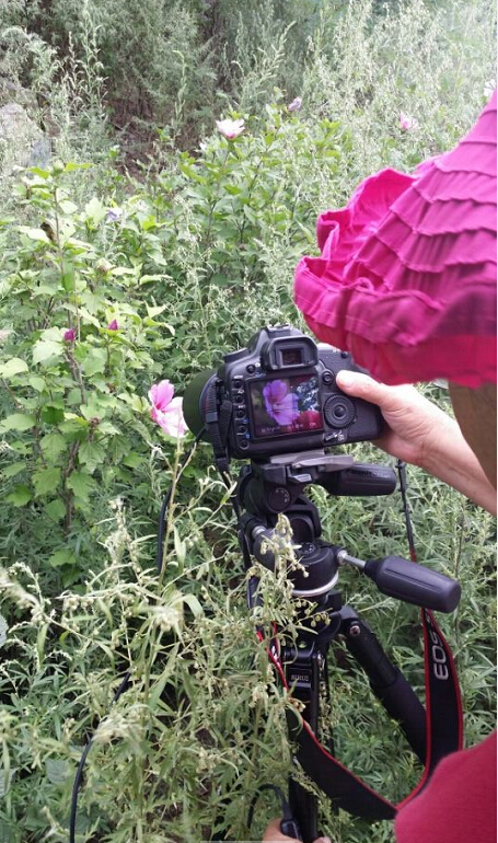 摄影唤醒青春老干部局摄影采风活动走进招商兰溪谷