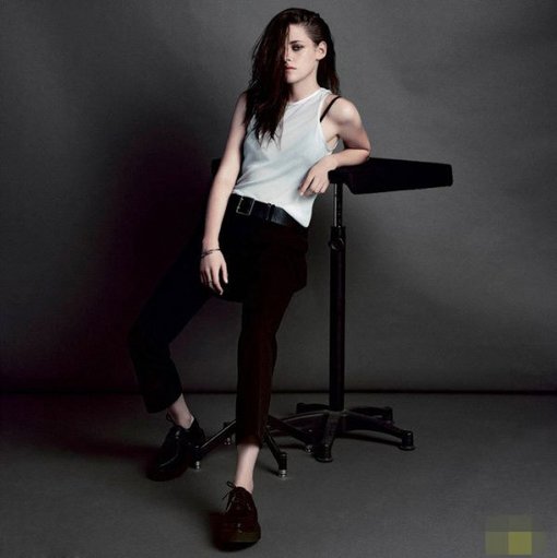 好莱坞女演员_好莱坞女演员收入榜(2)