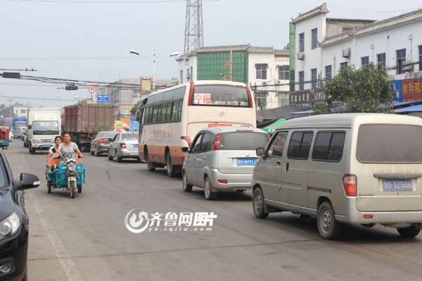 探秘泰安宁阳蟋蟀经济财富链 男人捉虫女人卖虫