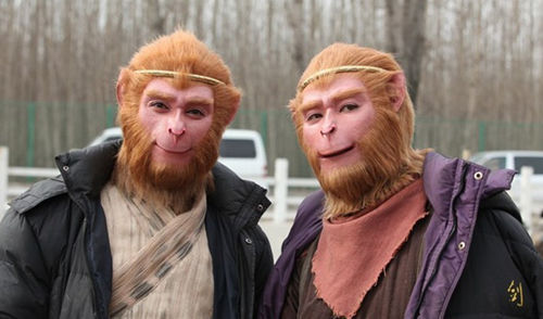 王九胜告吴樾侵犯名誉权 真假美猴王对簿公堂