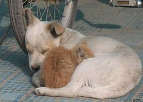 假如末日预言成真 20个节操问题拷问你的人性