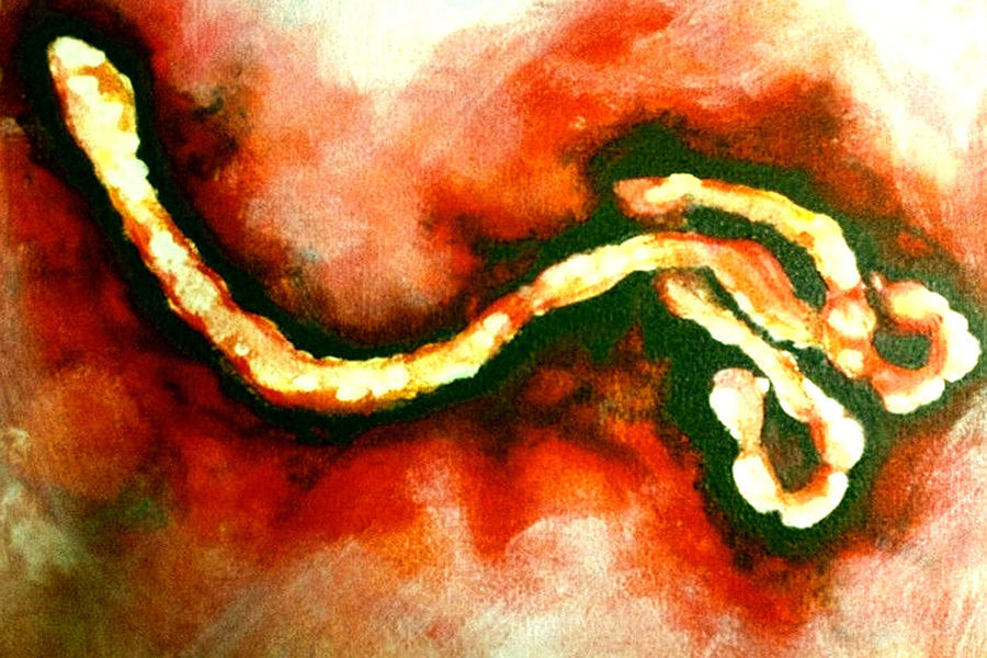 埃博拉（Ebola）是一个用来称呼一群属于纤维病毒科埃博拉病毒属下数种病毒的通用术语，可导致埃博拉病毒出血热，罹患此病可致死，包含数种不同症状，包括恶心、呕吐、肤色改变、全身酸痛、体内体外出血、发烧等。此病毒得名于爆发地附近的埃博拉河。