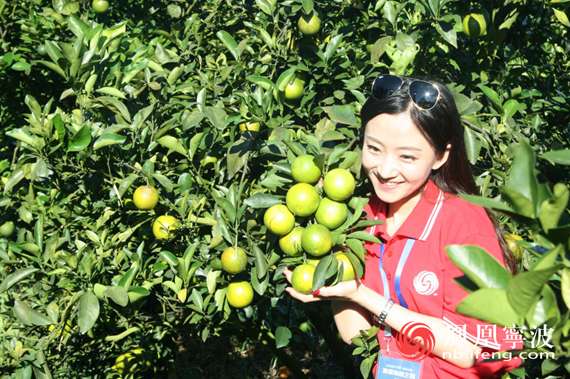 凤凰全媒体海南行:琼中,绿意盎然的生态氧吧