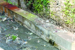 巴南花溪河臭气熏天 环保局对上游污水很无奈