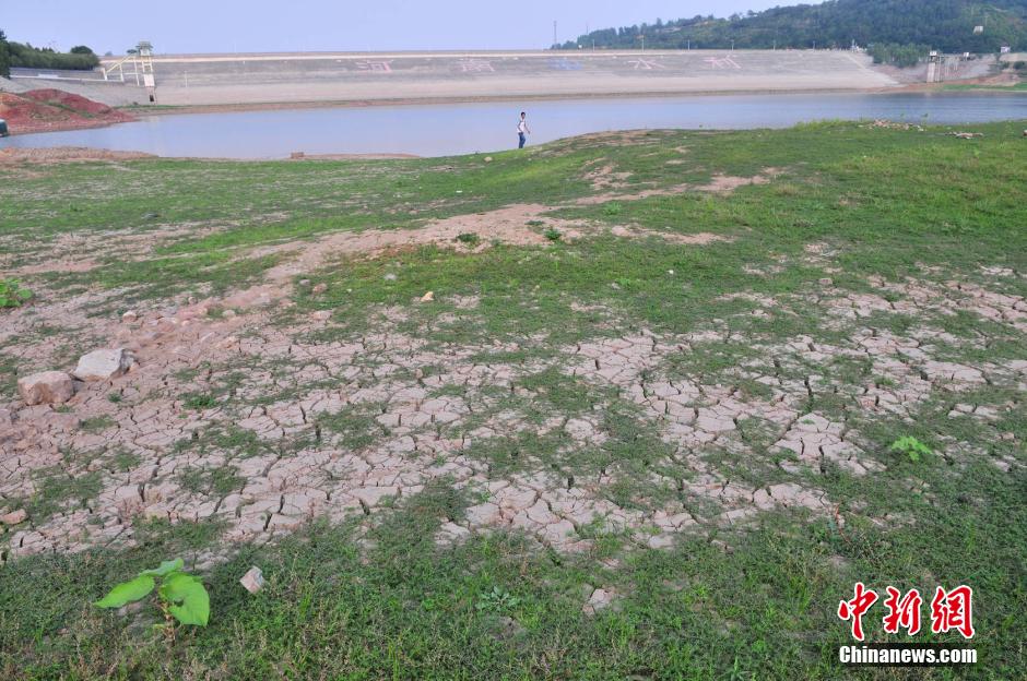 河南大旱水库见底土地开裂庄稼绝收