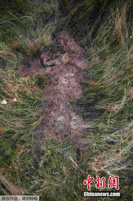 数字地球发布MH17客机坠毁现场卫星图