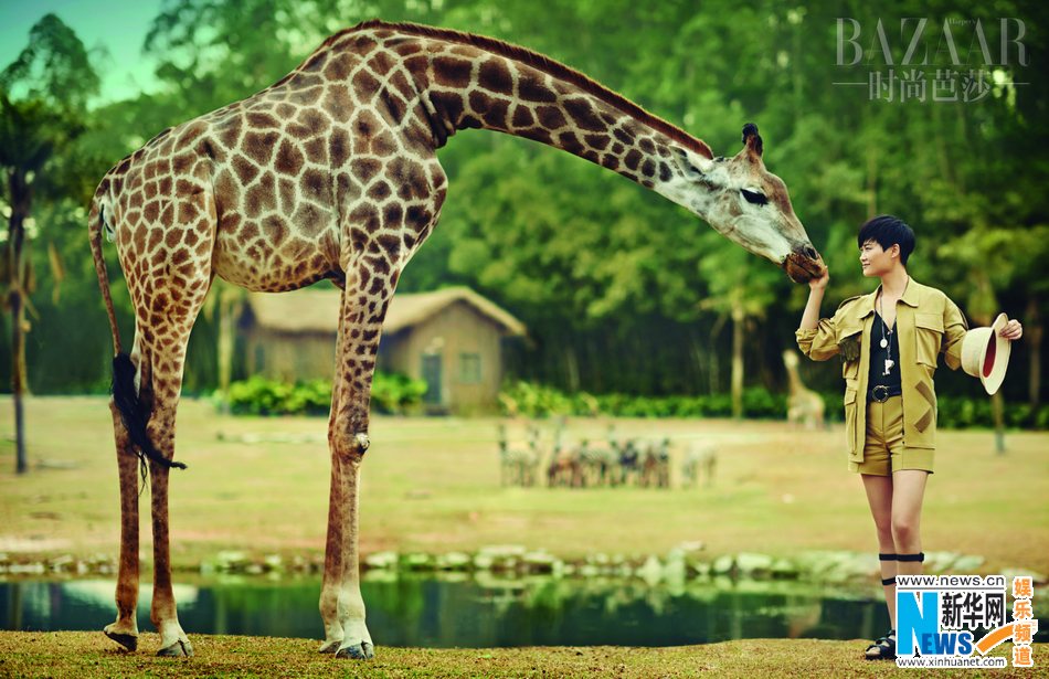 李宇春动物园大片老虎大象为伍 造型酷帅不失