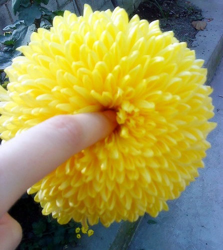 不忍直视 6711《街机三国》灭节操杂谈