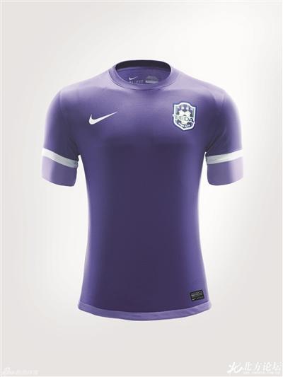 泰达或正式启用紫色主场球衣 中超版紫百合_天