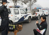 崔永元开两会 蹲路边拍警犬