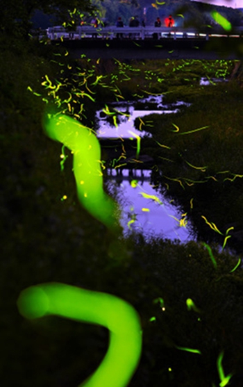 rdn_556583b7f2d06.jpg