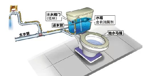 蓝色洁厕块怎么会导致自来水变蓝呢?水箱的水,又是怎么流到自来水管里的呢? 来看一个“蓝水污染实验模型”。整个模型由这几部分组成:左侧:模拟抽水马桶玻璃水箱、从楼上水管引下的模拟城市供水管网;右侧:模拟居民庭院供水管网、模拟楼层。 实验开始后,水质监测人员将一块固态洁厕剂放入马桶水箱,并打开城市供水管网阀门,将水箱充满水。 随着水箱中的水位上升,固态洁厕剂也渐渐融化,原本透明的水变成了蓝色。这时,检测人员中断了城市管网的供水,也就是平日居民遇到的“停水”。