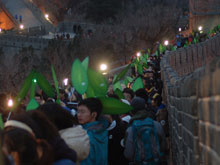 来自北京各大高校的志愿者手举绿叶，参加活动
