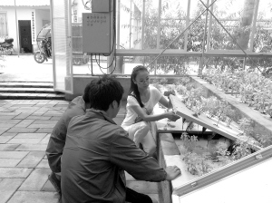 关于绿色农业梦成真的毕业论文题目范文