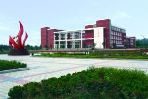 齐鲁师范学院文学专业实习总结报告范文模板