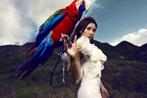 [优雅]人鱼公主施艳飞魔幻写真 显国际气息_娱乐频道_凤凰网