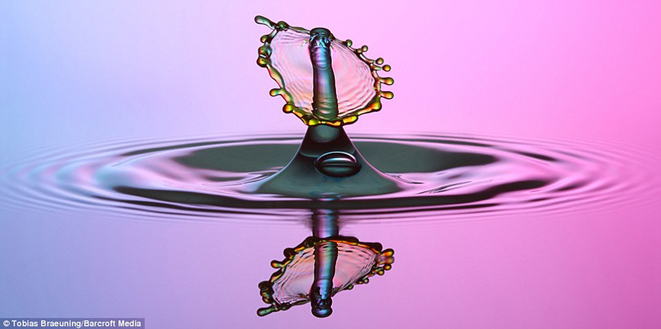 德国摄影师抓拍五彩墨滴入水图像[高清大图]