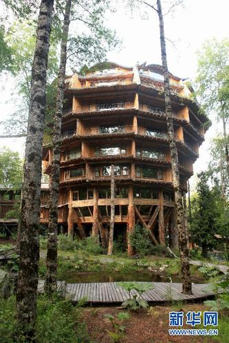 智利神奇树屋酒店 密林深处的童话宾馆