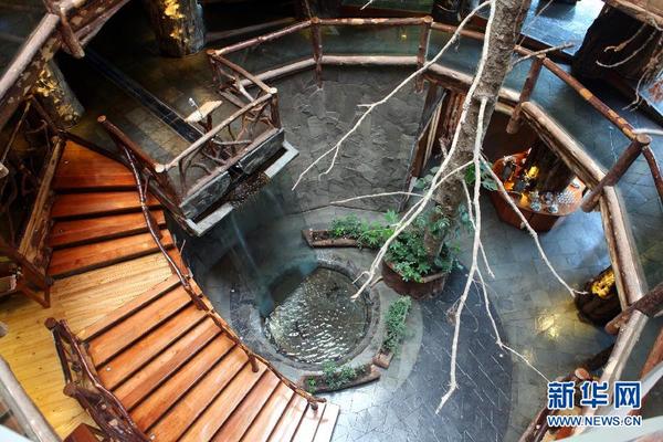 智利神奇树屋酒店 密林深处的童话宾馆