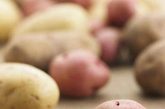 3.土豆皮

　　土豆皮内含不益于人体健康的配糖生物碱，进入人体后会形成积累性中毒。由于是慢性中毒，暂时无症状或症状不明显，往往不会引起注意。尤其是长了芽和皮色发青的土豆，含毒素更高，应绝对禁止食用。 