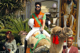 法国戛纳，当地时间2012年5月16日，电影《独裁者》戛纳电影节记者会。英国演员萨莎-拜伦-科恩   （Sacha Baron Cohen）骑骆驼现身反出糗，险些跌落。