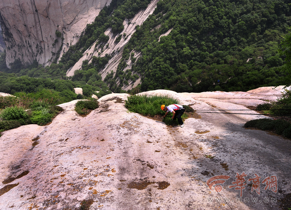 险峻华山上的环卫工 身系绳索在悬崖上拾垃圾