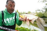 近日，英国剑桥市53岁的垂钓者Mark Sawyer在湖里钓到一条三不像的怪鱼。这条鱼长着石斑鱼的头，金鱼的躯体和尾巴和鲤鱼的尾鳍。他为这条怪鱼拍完照后，将其放归湖水中。专家表示，这条鱼很可能是几种鱼类的杂交品种。