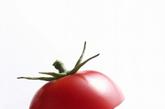 西红柿：西红柿中含有有丰富的果胶等食物纤维，让人很容易有饱足感，纤维不但无法被肠消化，还会吸附多余脂肪一起排出。西红柿中的茄红素可以降低热量摄取，减少脂肪积累，并补充多种维生素，保持身体均衡营养。饭前吃一个西红柿，其中含有的食物纤维不为人体消化吸收，在减少米饭及高热量的菜肴摄食量的同时，阻止身体吸收食品中较多的脂肪。西红柿独特的酸味还可刺激胃液分泌，促进肠胃蠕动，以帮助西红柿中的食物纤维在肠内吸附多余的脂肪和废弃物一起排泄出来。