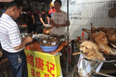一只小狗正坐在自行车前的菜篮里，而它的主人正在买狗肉。

