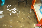 2012年6月26日，常州遭遇暴雨袭击，朝阳小学的学生正在考试，教室里却积起了水，考试结束后“热闹”起来，教室里游来了鱼。一些家长背着自己的孩子从学校走出，消防官兵在奋力抽水，并用沙袋筑起一道“堤坝”，避免积水回流。虽然雨已停了，但学校一眼看去依然是一片“海”。