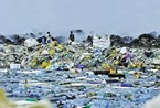 马尔代夫"天堂岛"变垃圾场 日产垃圾330吨 