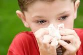 尘螨：尘螨是一种在家中生长的微小生物。主要以人类或宠物的死皮、花粉、细菌或霉菌为食。尘螨有八只带爪的脚，能牢牢的附著在床单或衣物之上。研究指出：单单一张床单便可能含有数以千计，甚至万计的尘螨。

花粉：树木及花草所传播的花粉，可能会引起花粉症及季节性过敏。每年的花粉症多发在春、夏二季。春季花粉主要以树木类为主，致敏性较弱；而夏秋季的花粉主要是以草木类为主，过敏性较强。花粉症的主要症状包括打喷嚏、流鼻涕、流眼泪，鼻、眼及外耳道奇痒，严重者会有荨麻疹、头痛，甚至引发支气管哮喘等症状。
